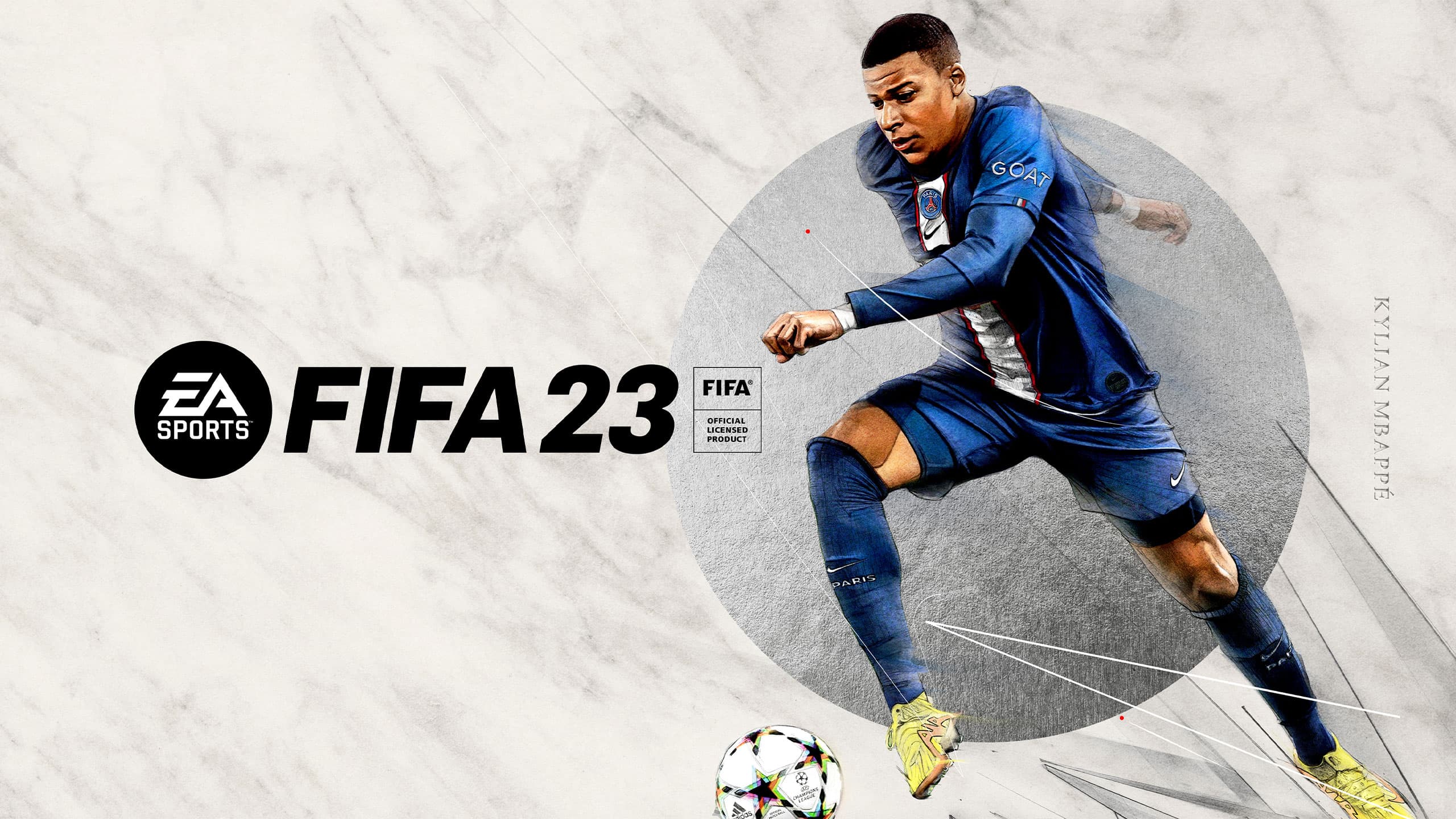 FIFA Database Application